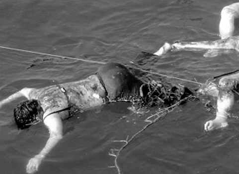 fotofilm/tsunami/3.jpg
